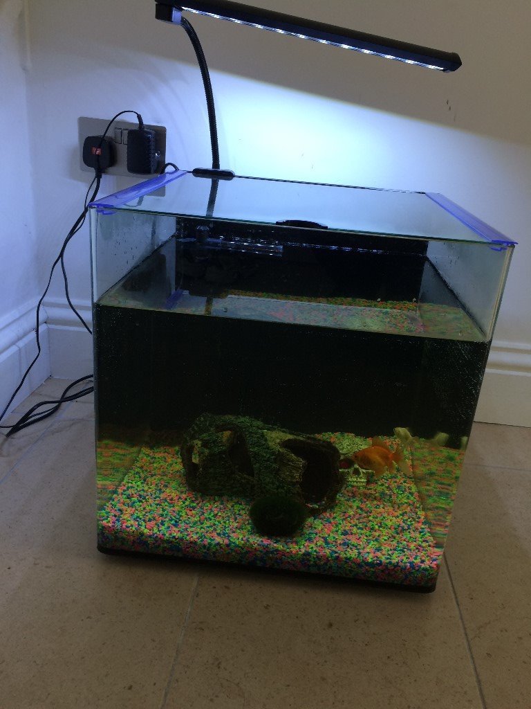 50l fish tank for sale in Newcastle, Tyne and Wear Gumtree