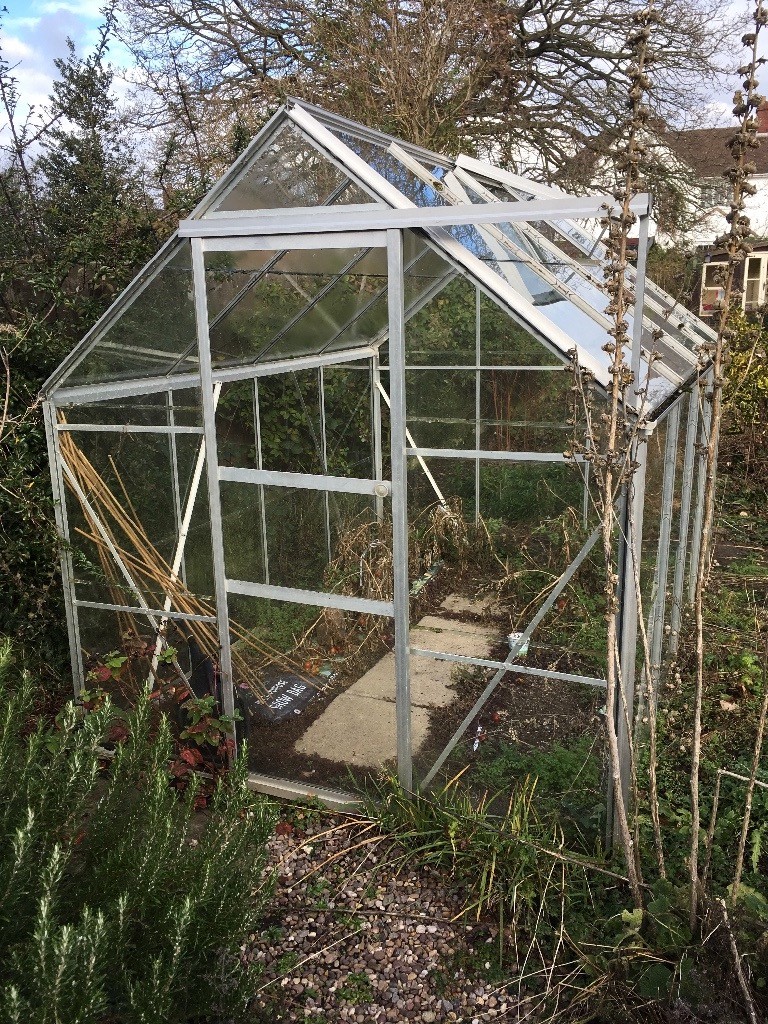 Large Glass Greenhouse in Shrewsbury, Shropshire Gumtree