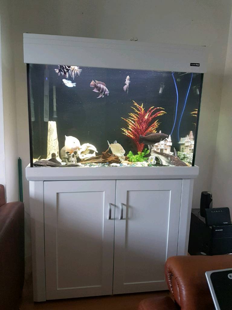 Aqua one fish tank and Stand For Sale full set with fishes in