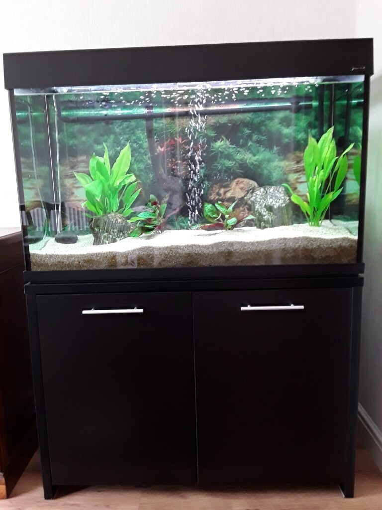 Aqua One Fish tank and in Winsford, Cheshire Gumtree