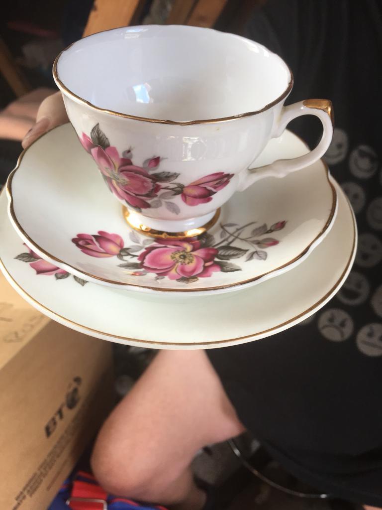 DORCHESTER FINE BONE CHINA in Harthill, North Lanarkshire Gumtree