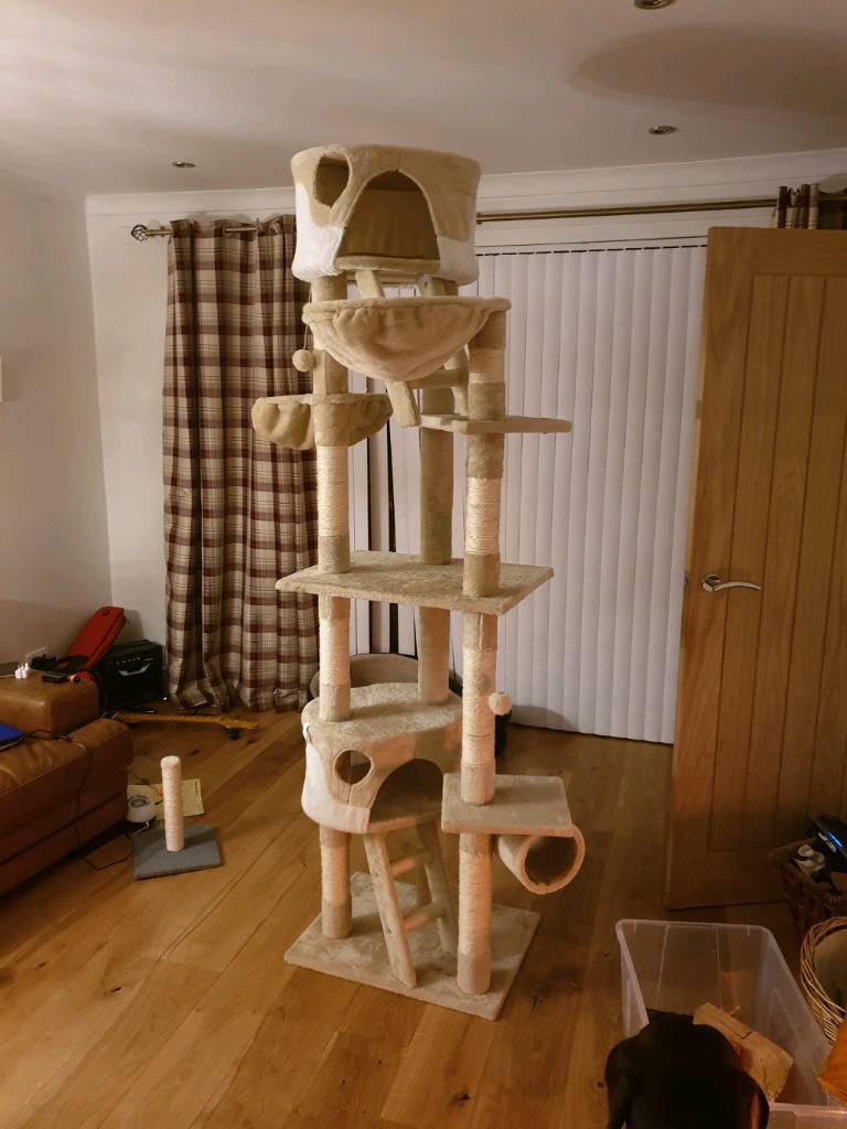 Cat Trees On Gumtree at Ethel Hanselman blog