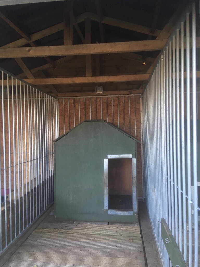 3x large galvanised steel dog kennels and runs in Norwich, Norfolk