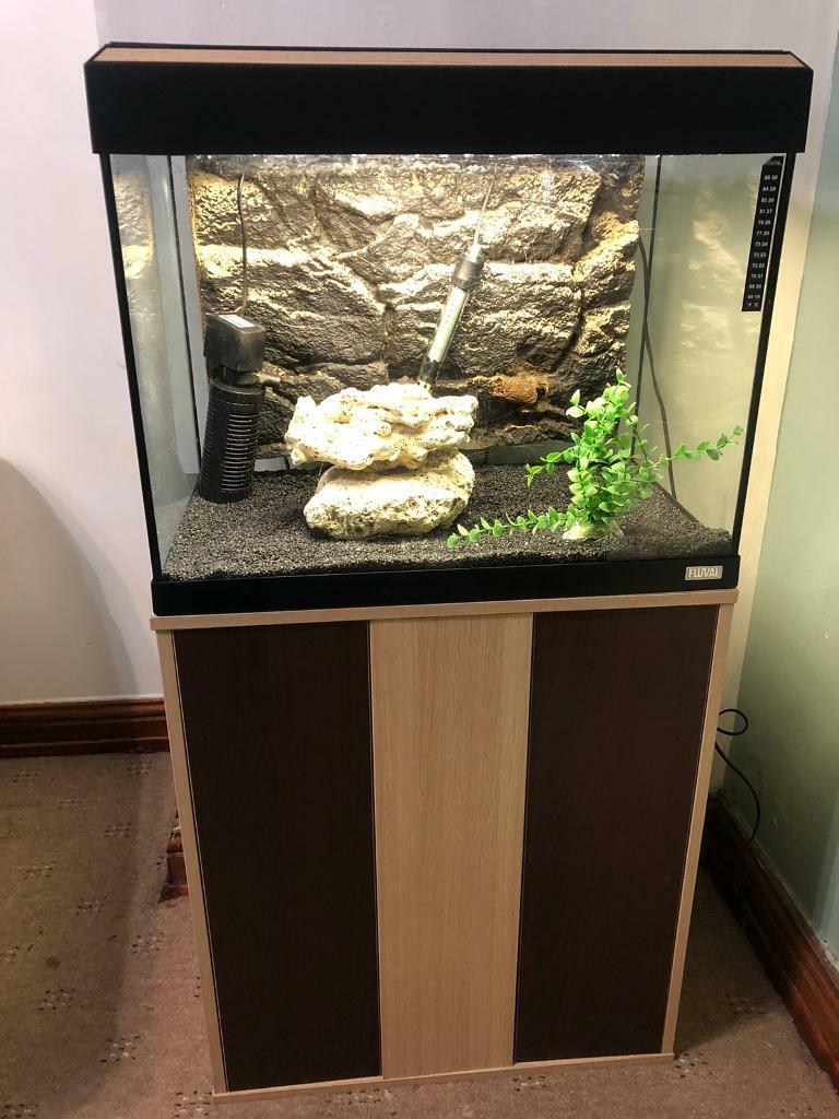 Fluval fish tank stand. Complete set up. in Halifax, West Yorkshire