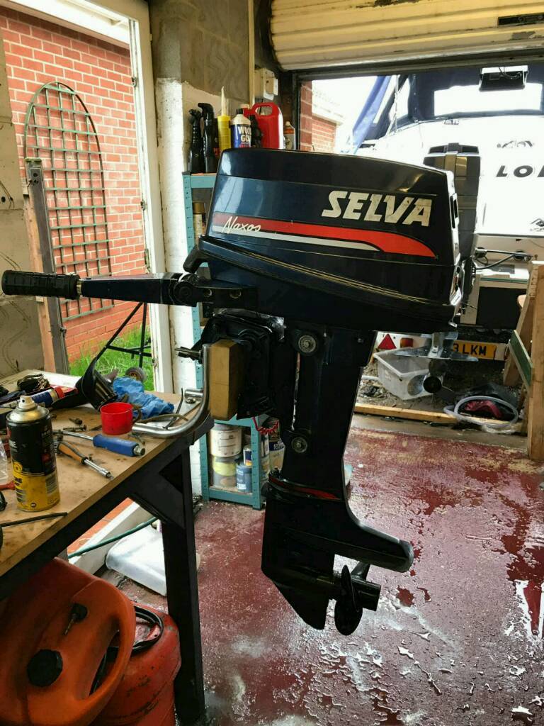 Мотор selva 15