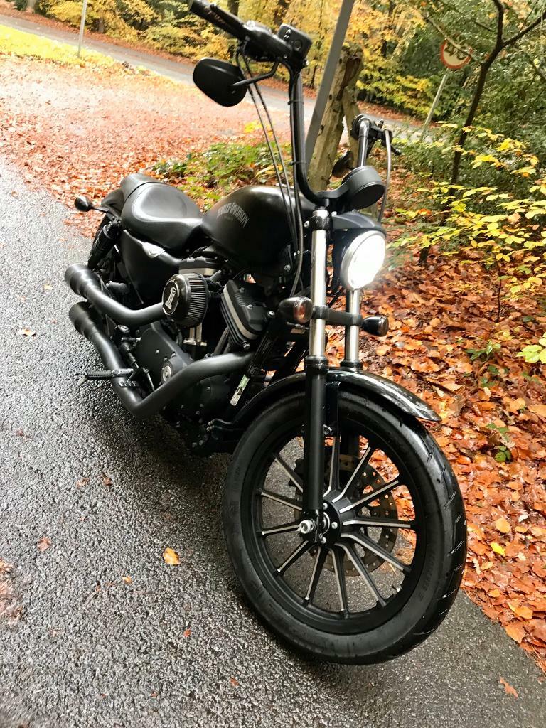 Harley Davidson Sporster XL883 883 Iron, denim black with ...