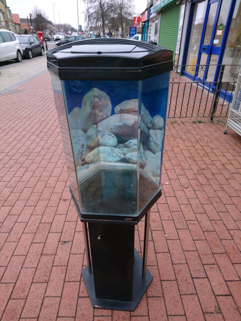 Hexagonal fish tank with stand in Hull, East Yorkshire Gumtree
