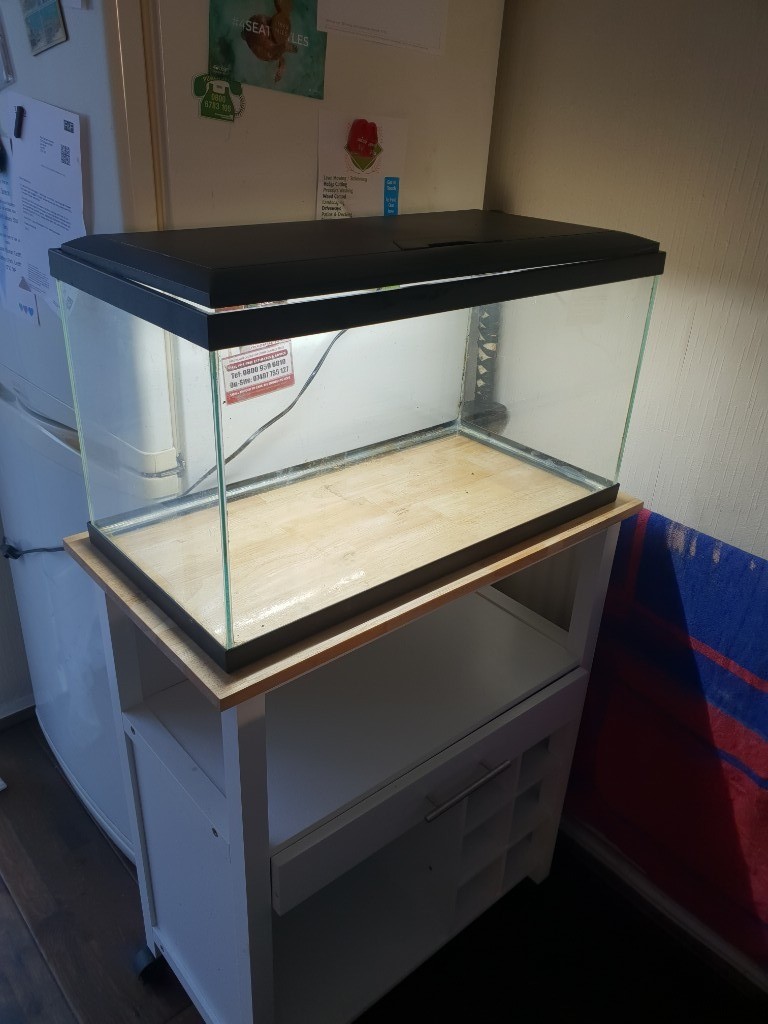60Ltr Fish tank in Llanishen, Cardiff Gumtree