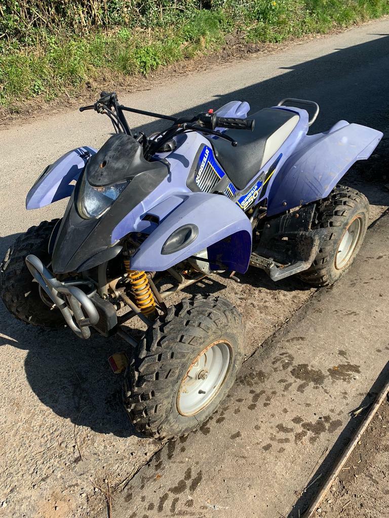 quadzilla 250cc