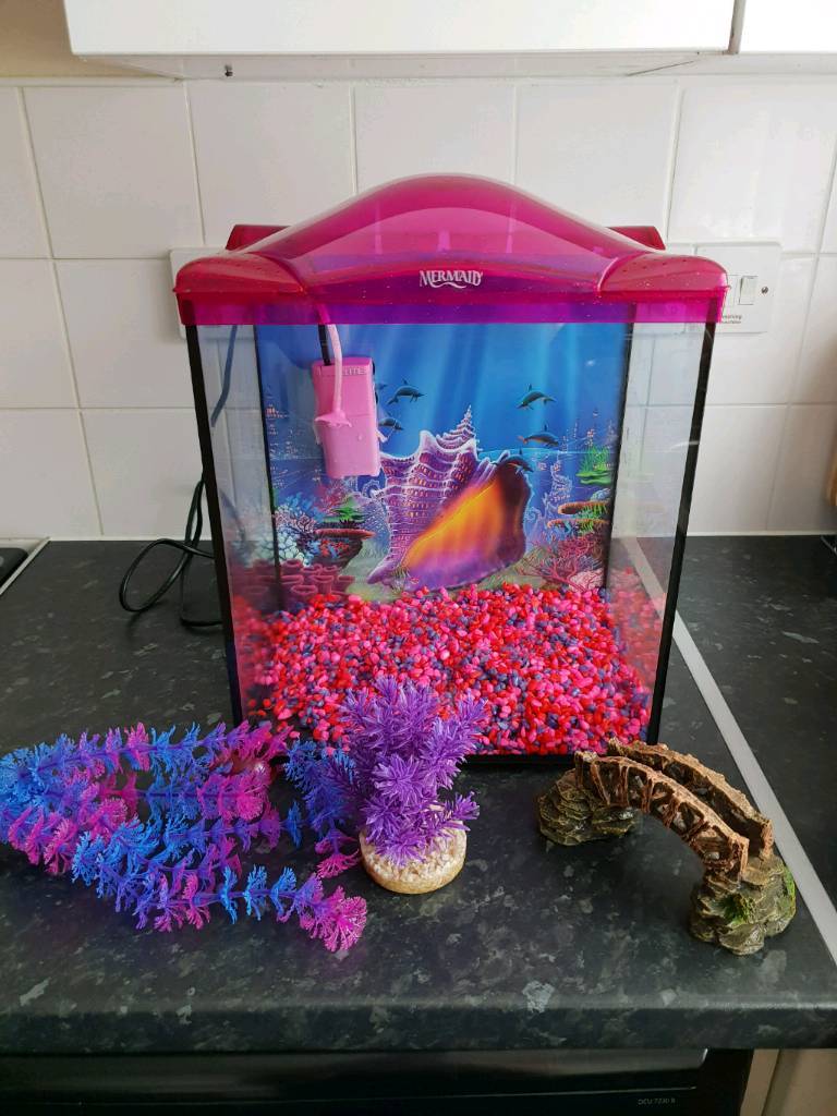 Mermaid Fish Tank In Plymouth Devon Gumtree