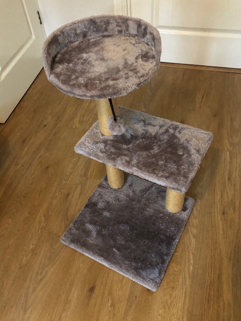 Cat Bed Scratching Post/Tower in Sittingbourne, Kent Gumtree