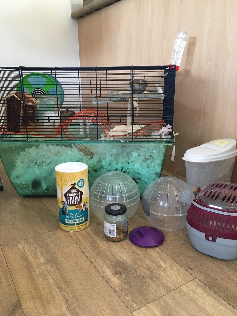 Gerbil cage and complete set up in Southampton, Hampshire Gumtree