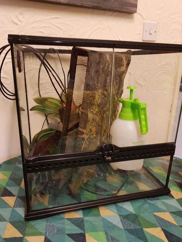 Exo Terra 45x45x45 vivarium in Langley Mill, Nottinghamshire Gumtree