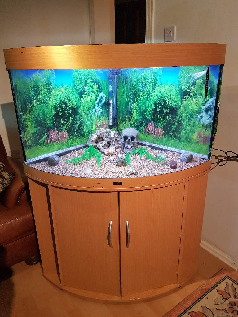 JUWEL TRIGON 190 LITER CORNER FISH TANK AND STAND FOR SALE