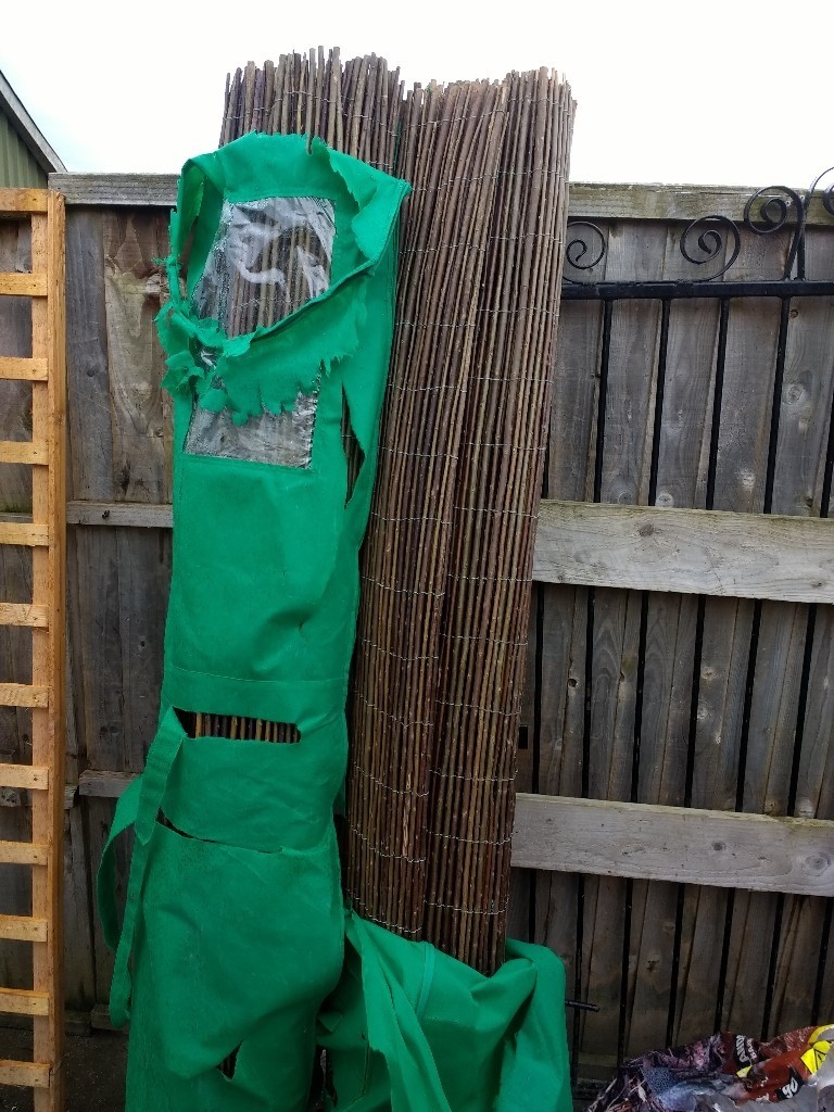 Gardman willow screening 4m x 2m 2 packets in Rochester, Kent Gumtree
