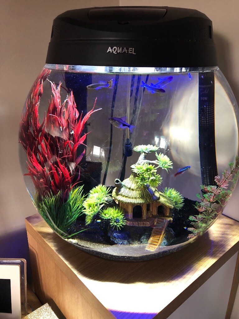 Aquael 90ltr globe fish tank and stand in Bradley Stoke, Bristol