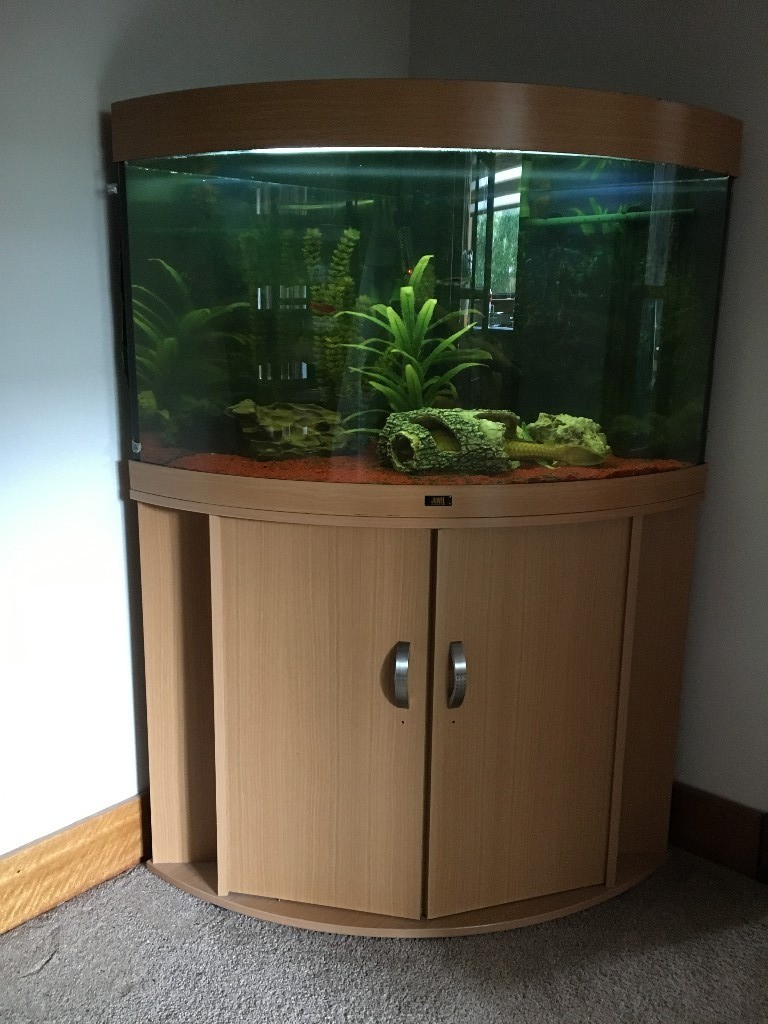 Corner unit fish tank in Inverkip, Inverclyde Gumtree