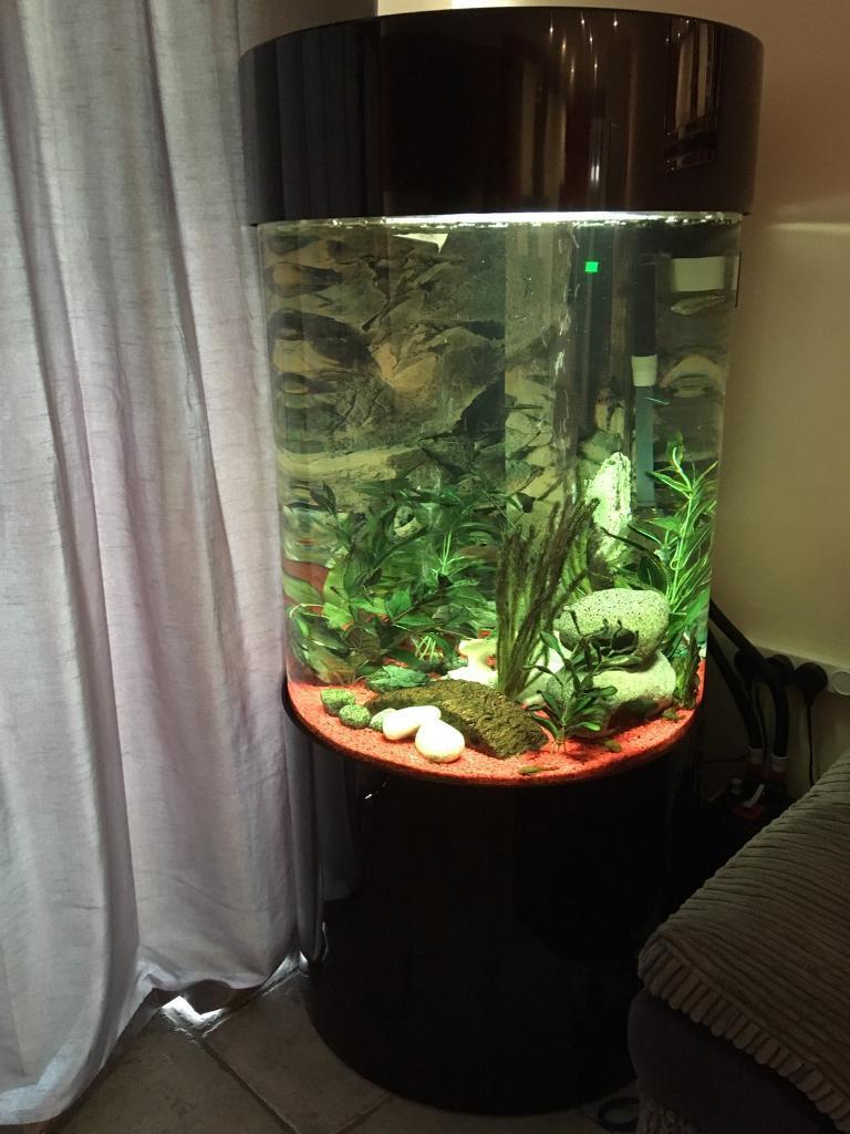 Column cylinder  tropical fish  tank  260L in Red Lodge 