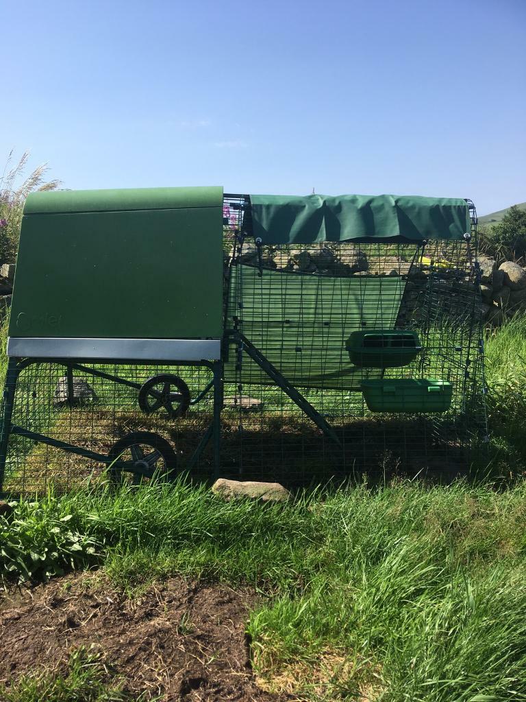 Eglu Go Up Chicken Coop With 2m Run Wheels In Biggar South Lanarkshire Gumtree