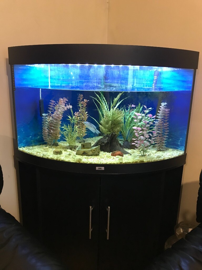 Juwel Aquarium Corner Fish Tank 190L **Excellent Condition** in