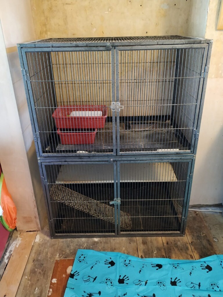 Large cage great for rats & other rodents Liberta Explorer in Hove, East Sussex Gumtree