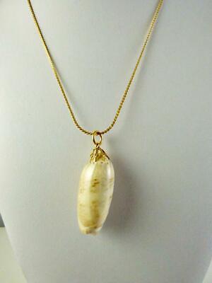 Vintage Goldtone Olive Snail Shell Pendant Necklace 18