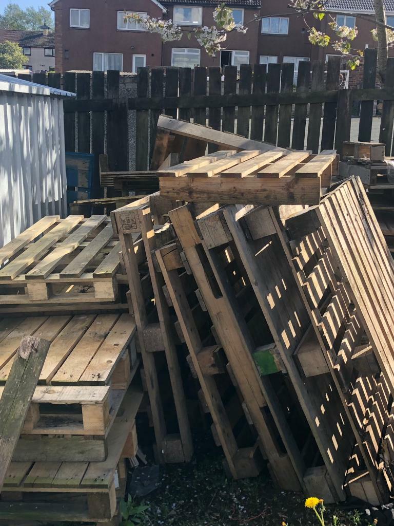 50+ Pallets in Glenrothes, Fife Gumtree