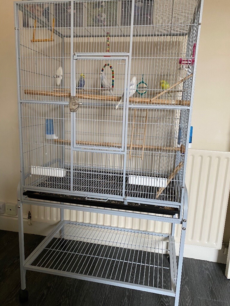 Large Bird cage 4 budgies in Grantham, Lincolnshire Gumtree