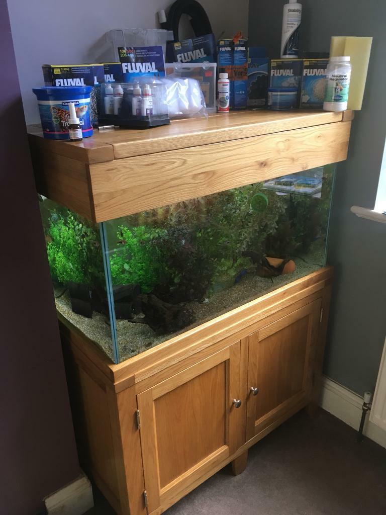 Aqua Oak aquarium fish tank in NewcastleunderLyme, Staffordshire