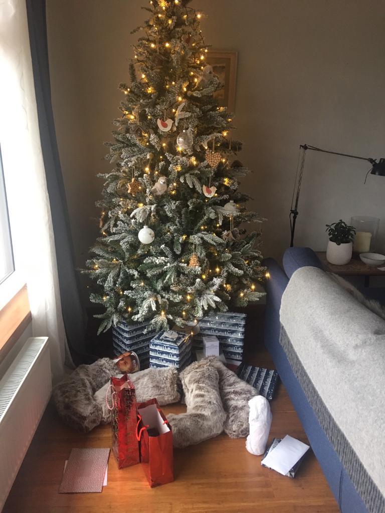 Luxury Christmas Tree In Troon South Ayrshire Gumtree