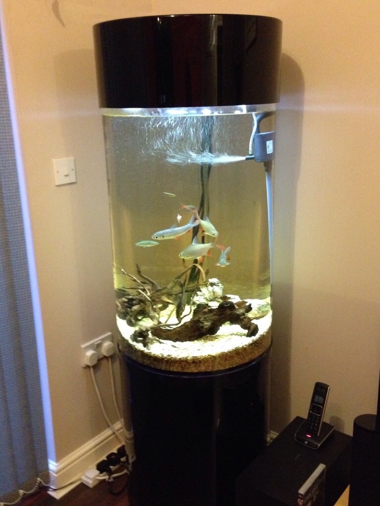 Column Cylinder Acrylic Aquarium 260 Litres in Purfleet, Essex
