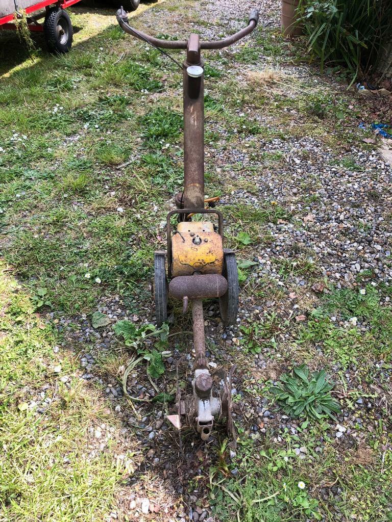 slsi.lk how long for sulfatrim to work Pity, where to hire a