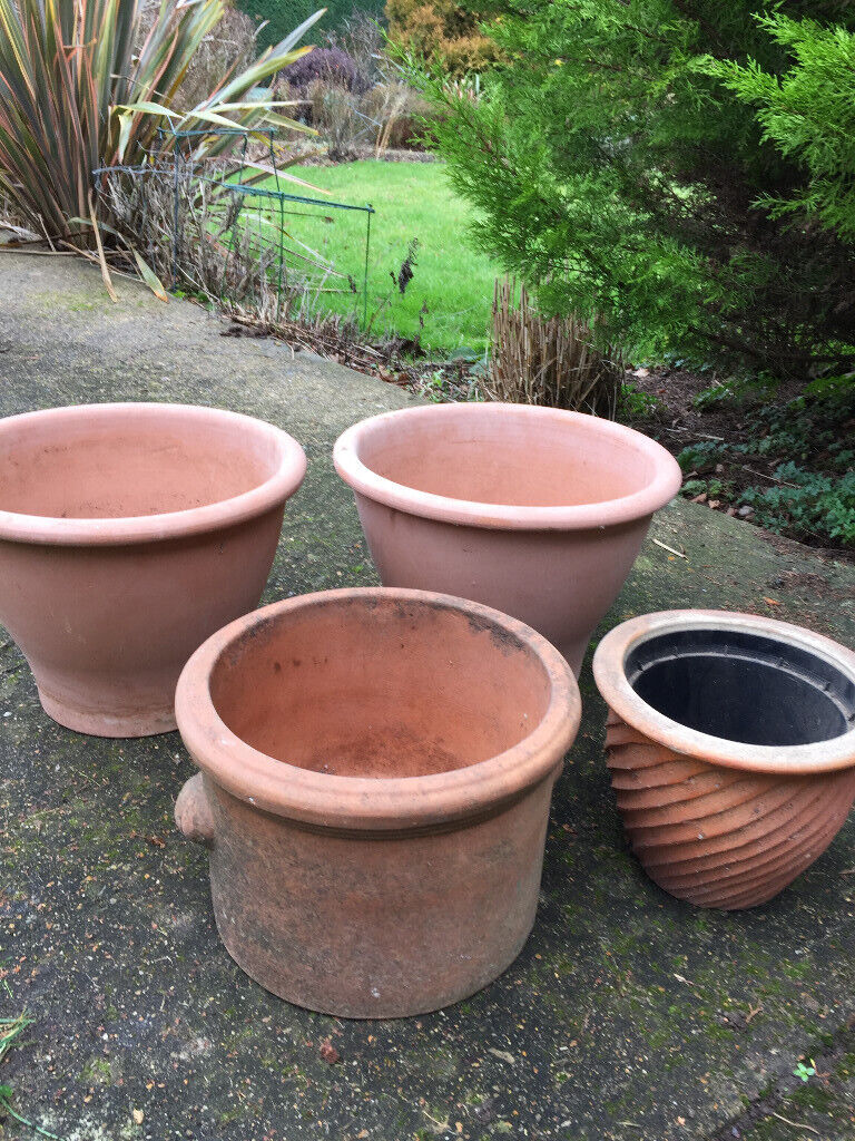 4 x terracotta flower pots  in Bramley Guildford Surrey 