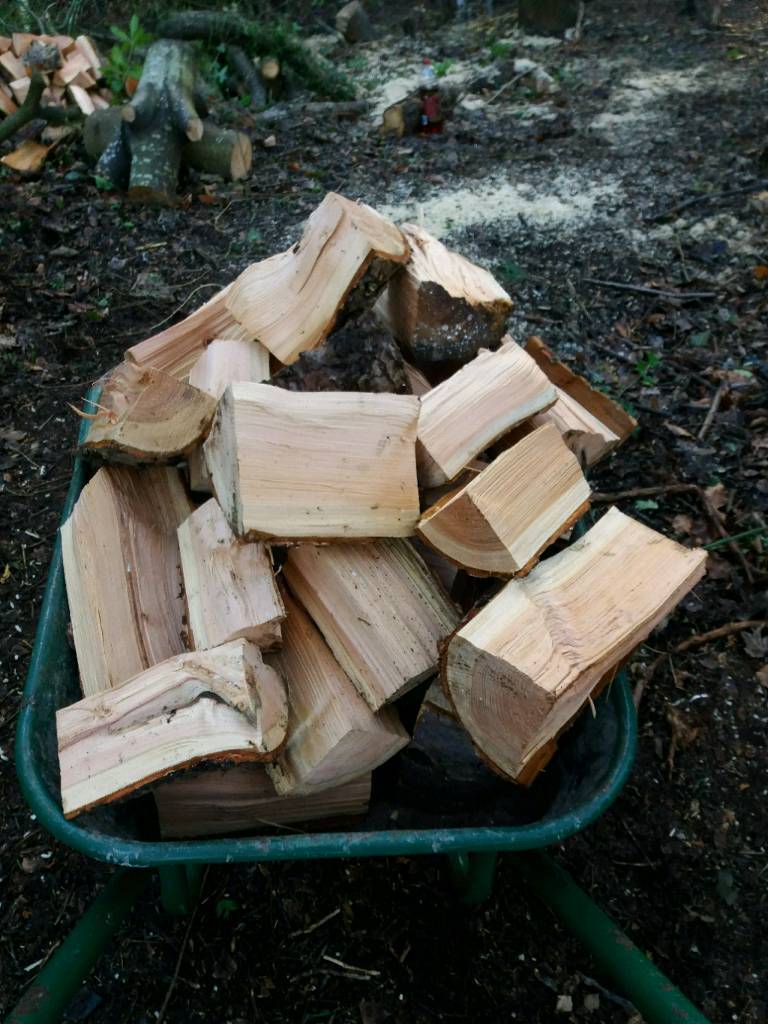 Seasoned logs for sale in St Andrews, Fife Gumtree