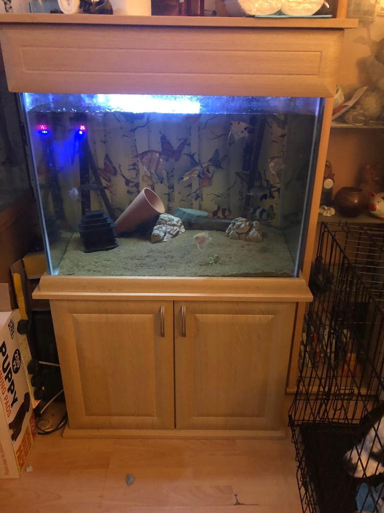 Custom made fish tank in Caerphilly Gumtree