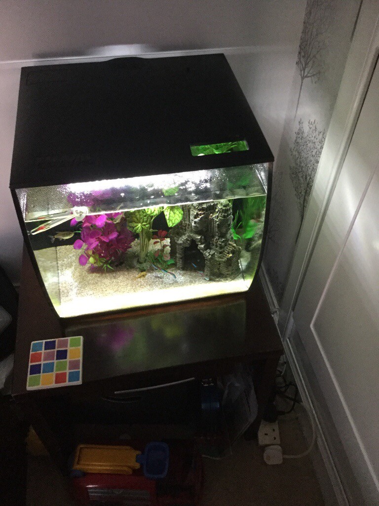 Fish tank in Uddingston, Glasgow Gumtree