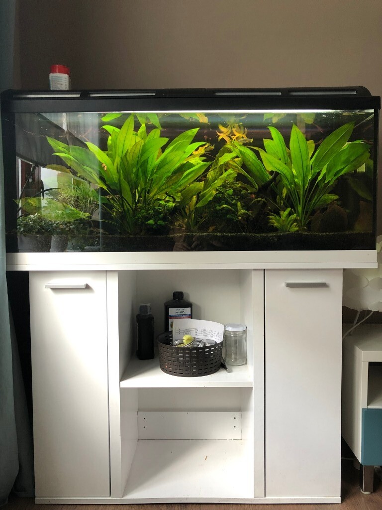 160 litre fish tank, aquarium, including and external filter