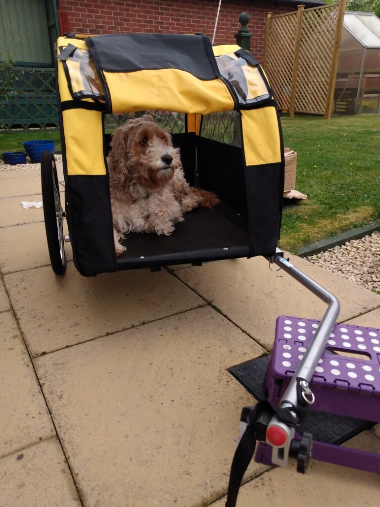 Bike Trailer for a dog in Syston, Leicestershire Gumtree