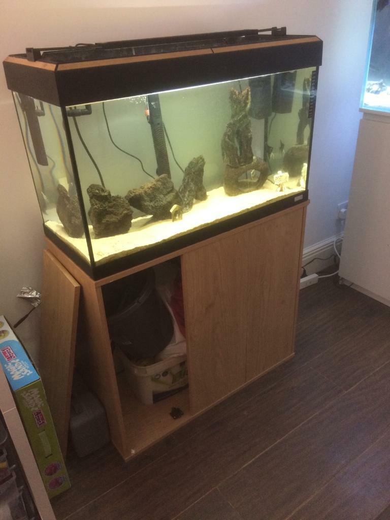 AQUARIUM FOR SALE in Cosham, Hampshire Gumtree