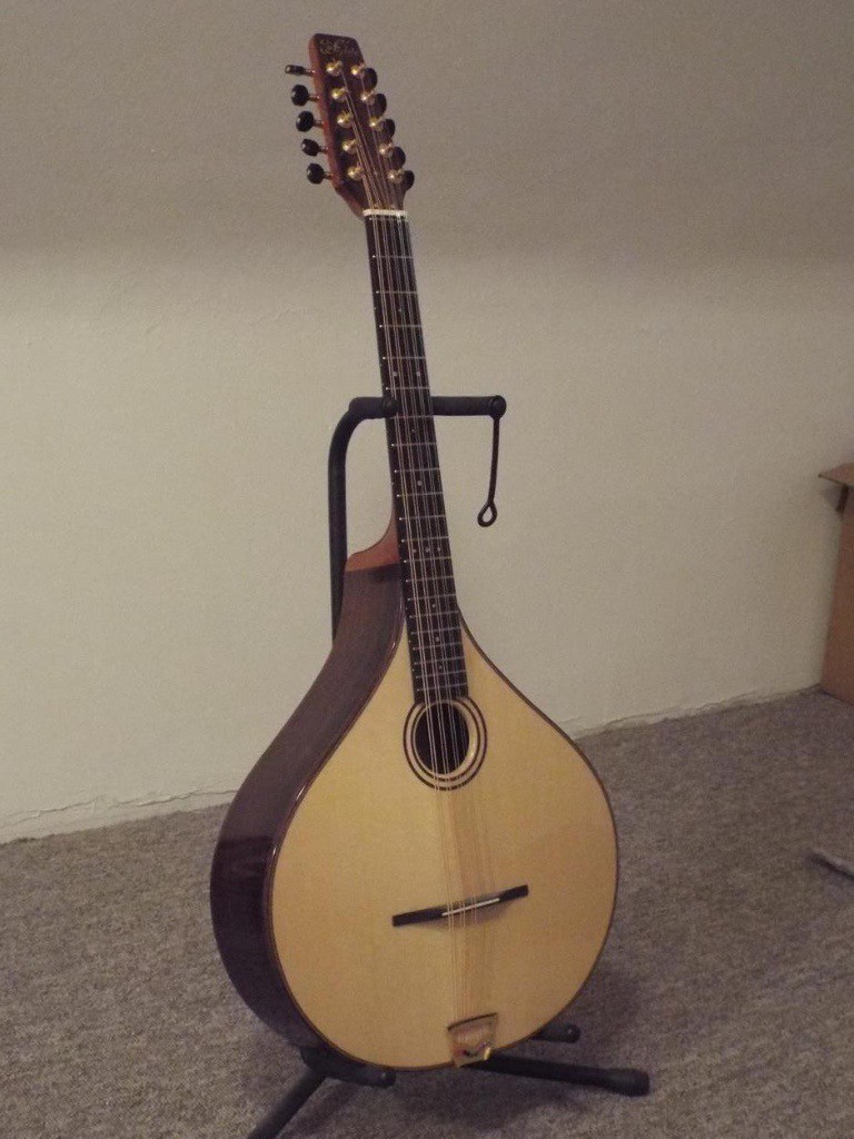 Fylde 10 string short scale bouzouki / cittern / guitar cittern in