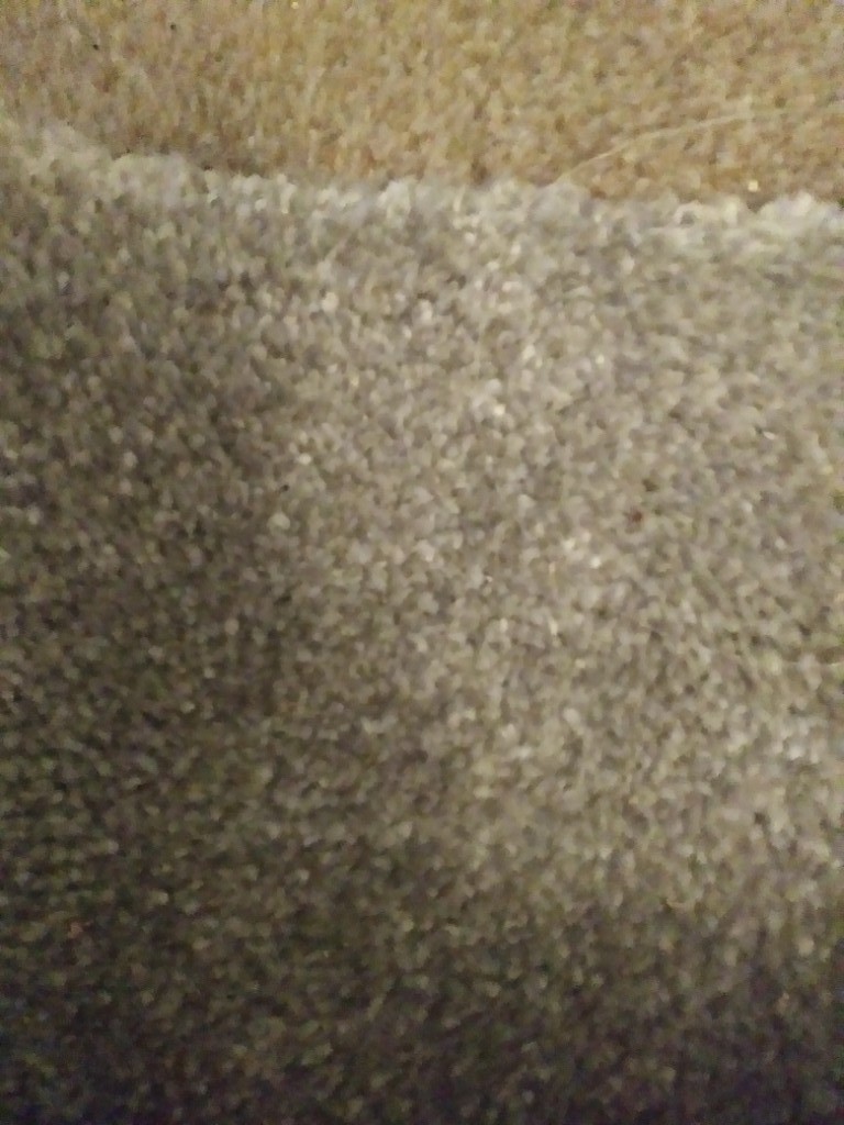 Silver grey carpets in Darlington, County Durham Gumtree