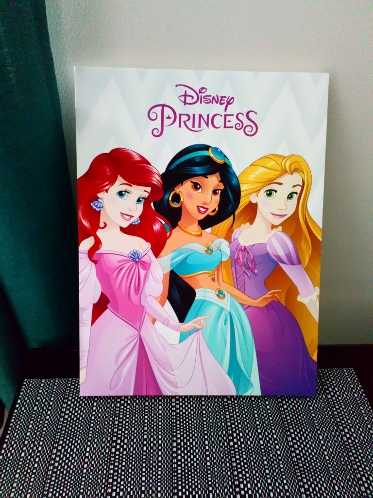 Disney Princess Canvas Wall Art Picture In Sheffield South Yorkshire Gumtree