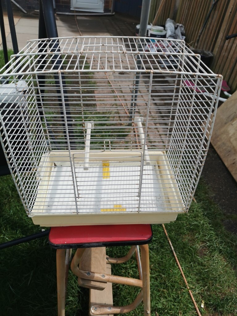 Bird cage in Coventry, West Midlands Gumtree