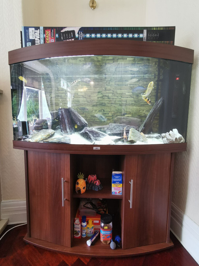 4ft bow front fish tank in Bury, Manchester Gumtree