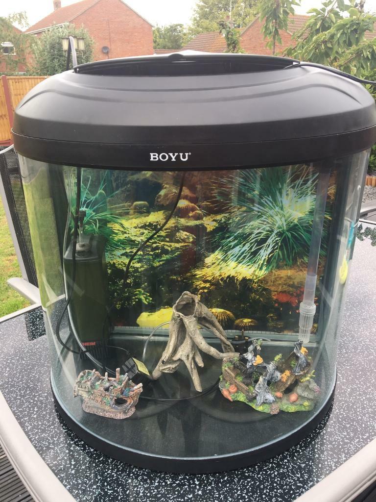 boyu bow fish tank in ClactononSea, Essex Gumtree