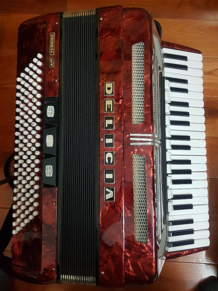 Piano Accordion 120 bass 41 key professional model Delicia Choral XIV