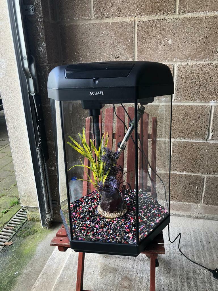 60l fish tank 2 ft hight full set up with filter heater lid gravel nice