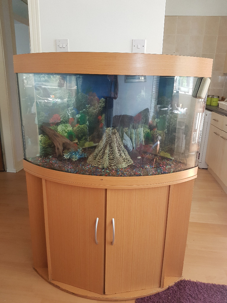 JUWEL TRIGON CORNER FISH TANK AND STAND FOR SALE,,190 LITER FULL SET UP