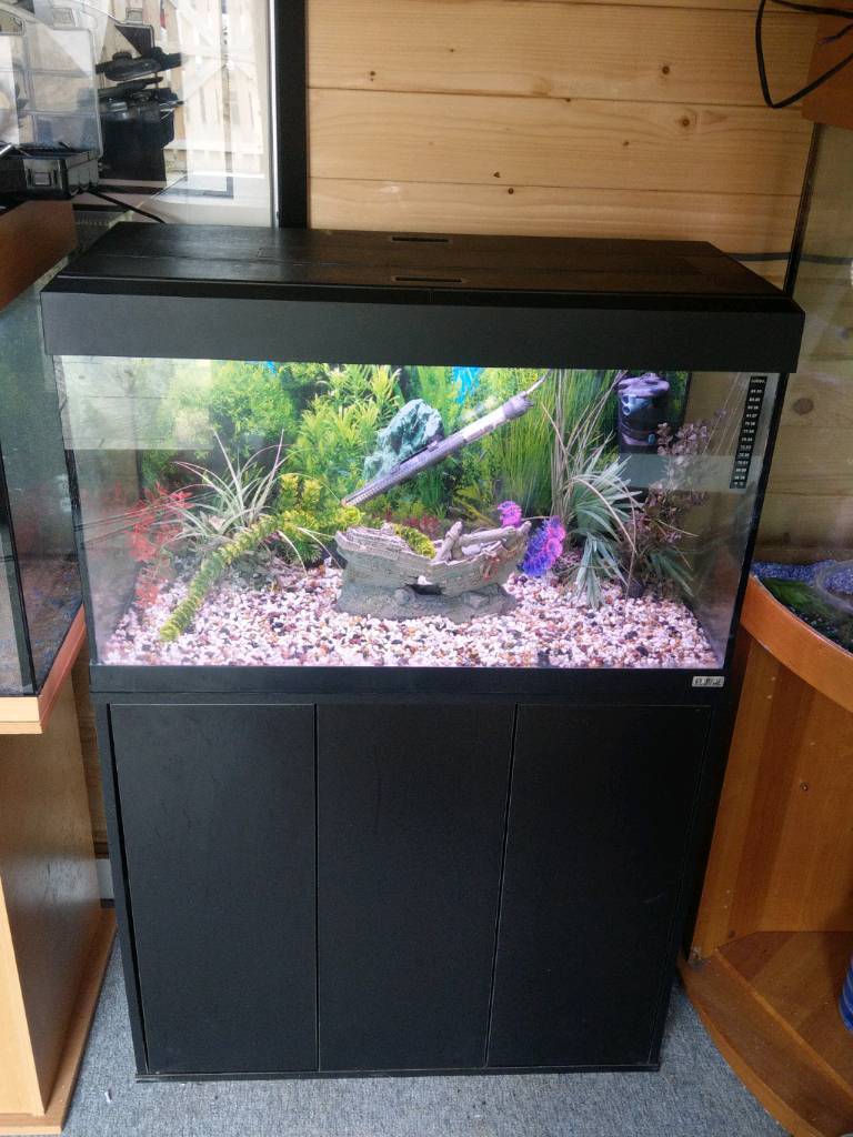 Fluval Roma 125L Tropical Fish Tank Full Setup in Morpeth