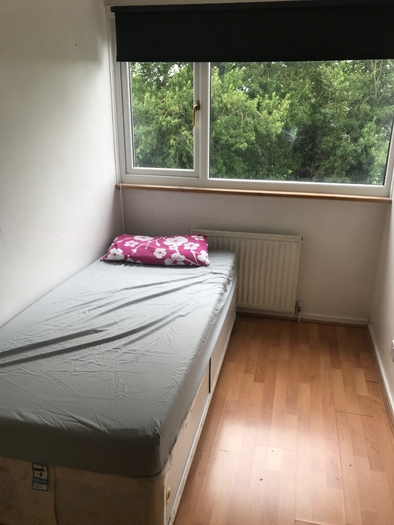 Single room to rent Bletchley (Lakes Estates) in Bletchley
